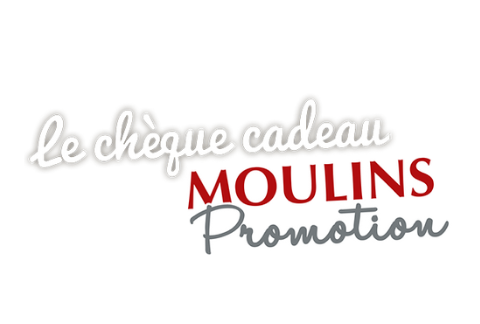 Logo Moulins Promotion